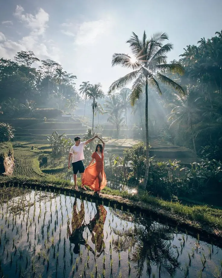 tegalalang ubud bali honeymon