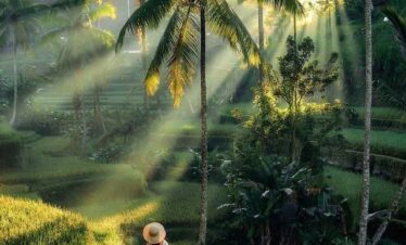 tegalalang ubud tour