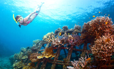 BlueLagoonSnorkeling
