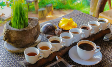 coffe and tea plantation