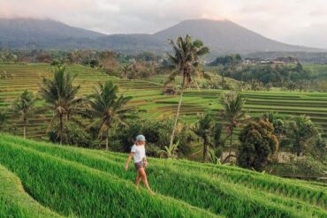 jatiluwih-rice-terrace