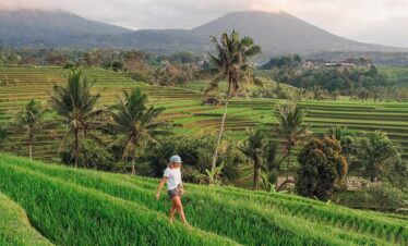 jatiluwih-rice-terrace
