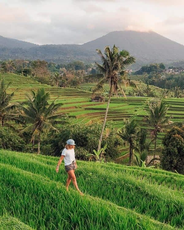 jatiluwih-rice-terrace