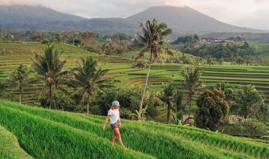 Bali Trips 2026: Amazing Tours You’ll Regret Missing