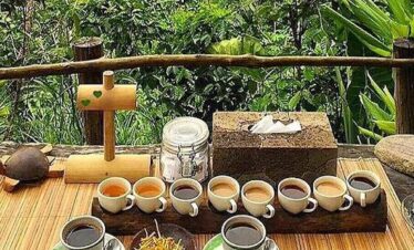 luwus coffe plantation