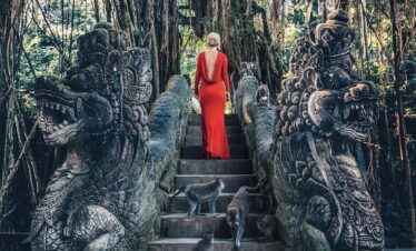 monkey fores ubud bali