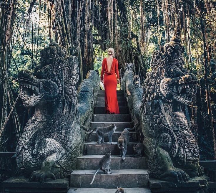 monkey fores ubud bali