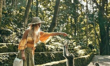 monkey forest ubud