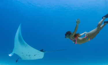 pari manta lembongan