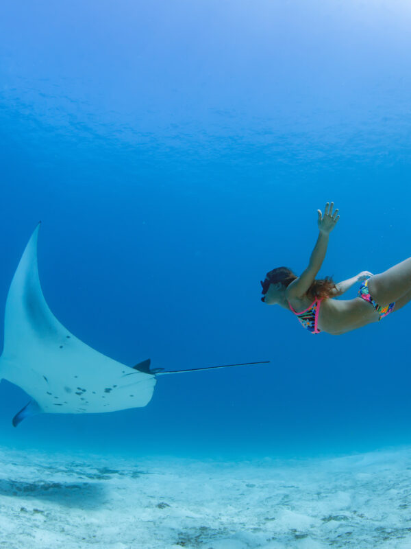 pari manta lembongan