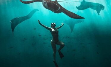 pari manta nus alembongan