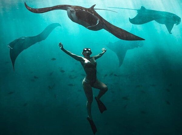 pari manta nus alembongan