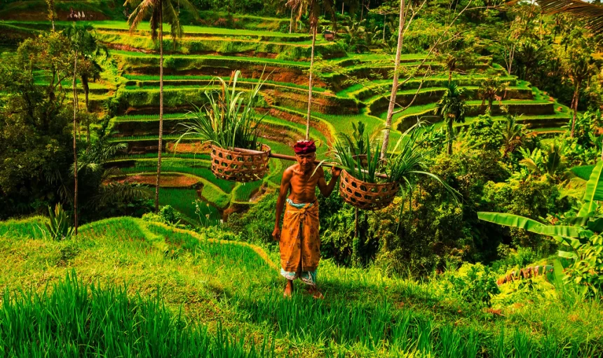 Top 10 Eco‑Friendly Ubud Tours