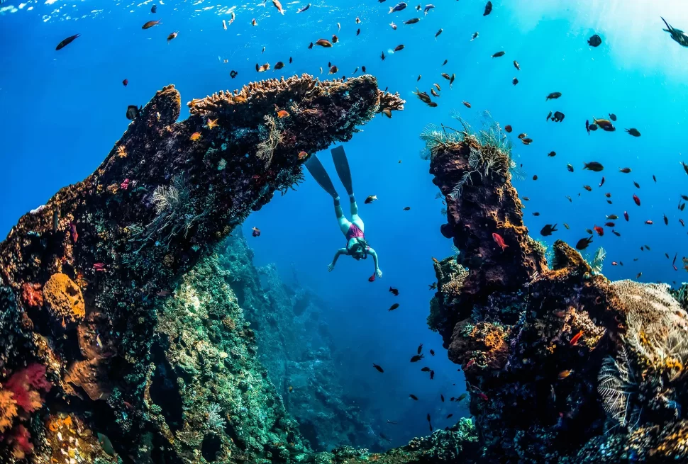 Bali Amed Snorkelling