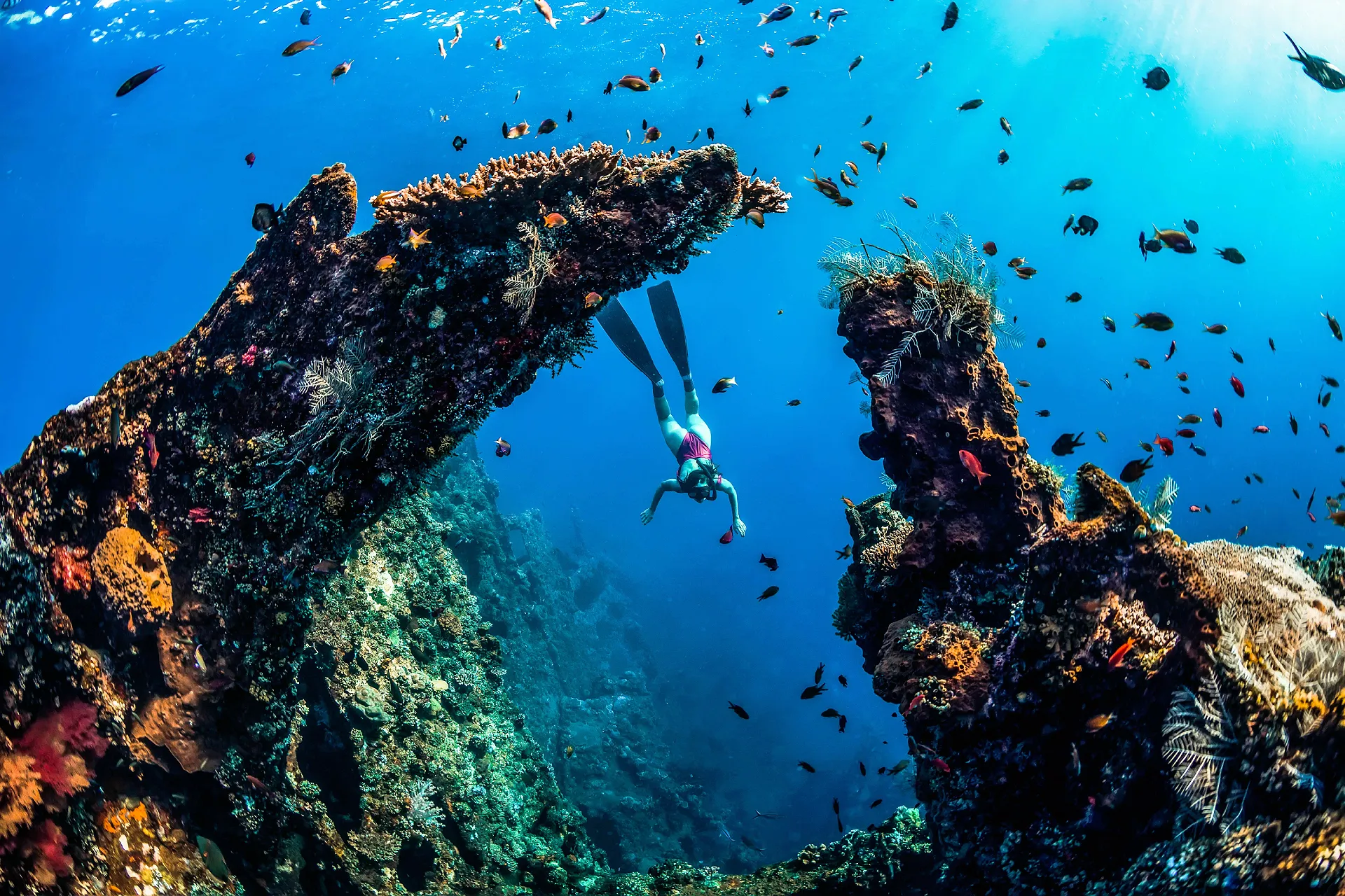 Bali Amed Snorkelling