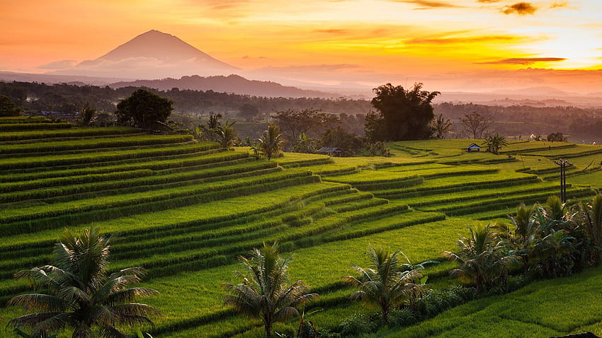 Best Bali Tours 2026: Ultimate Experiences You Can’t Miss