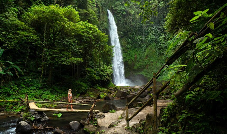 Bali Nature Tours 2026: Waterfalls, Jungles, and Views