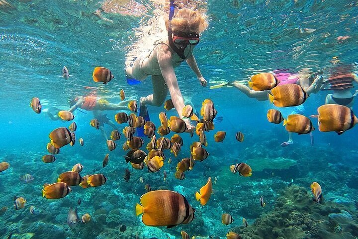 nusa penida snorkeling