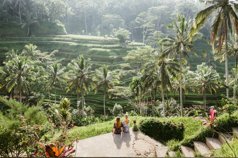 tegalalang rice terrace