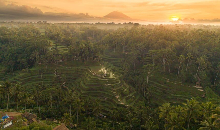 Bali Travel January 2026: Best Places to Visit