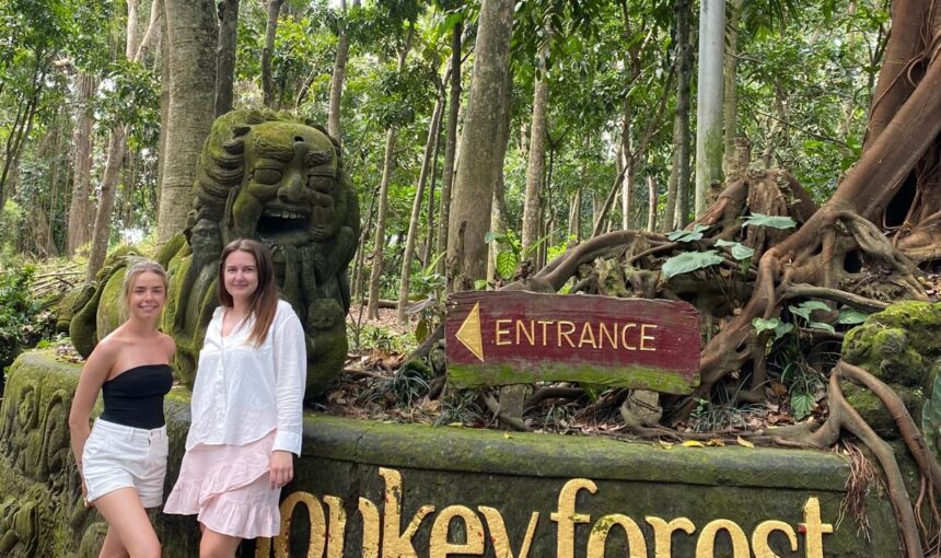 Monkey Forest Ubud 2025: Wildlife & Conservation