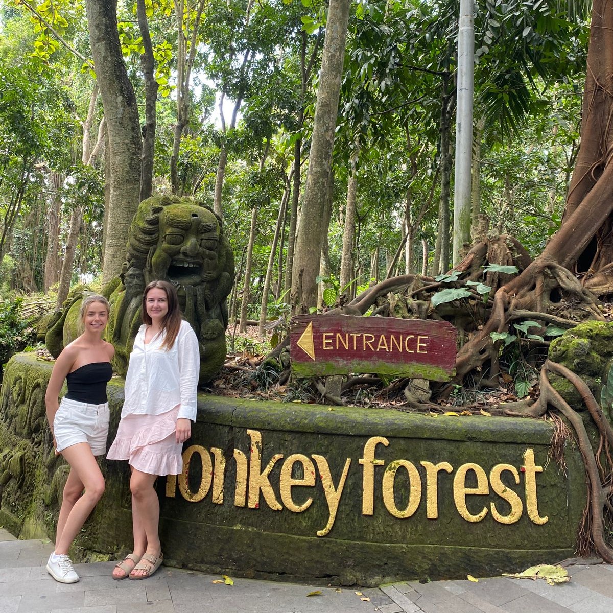 ubud monkey forest