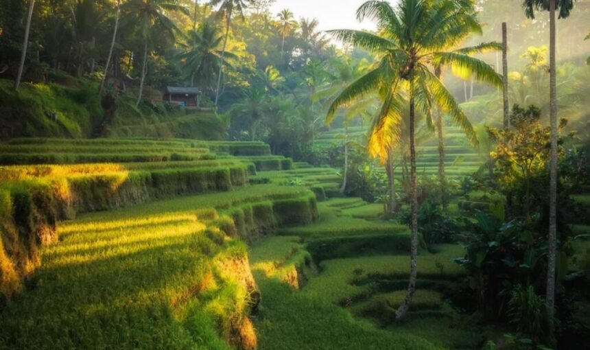 Bali Travel Guide: Things to Know Before Visiting in 2026