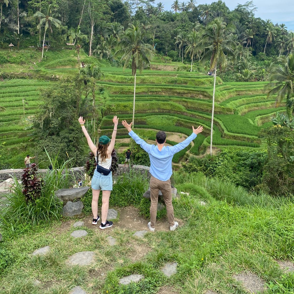 ubud tegalalang rice terrace