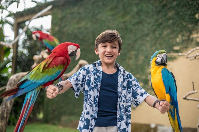 Child holding a parrot at bali bird park