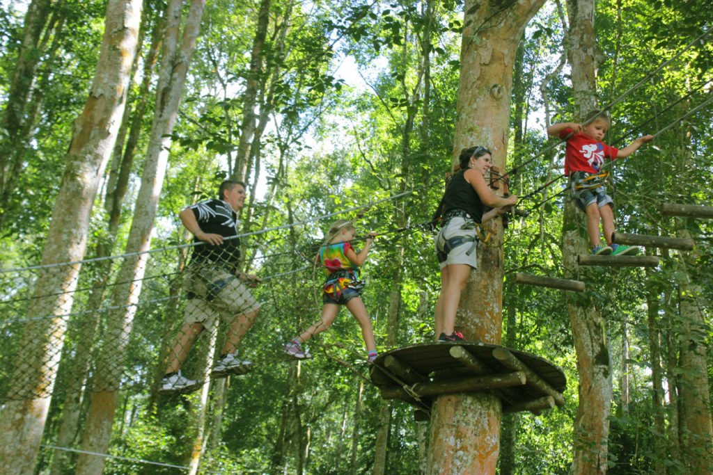 Parents and kids doing zipline activities in Bedugul forest.