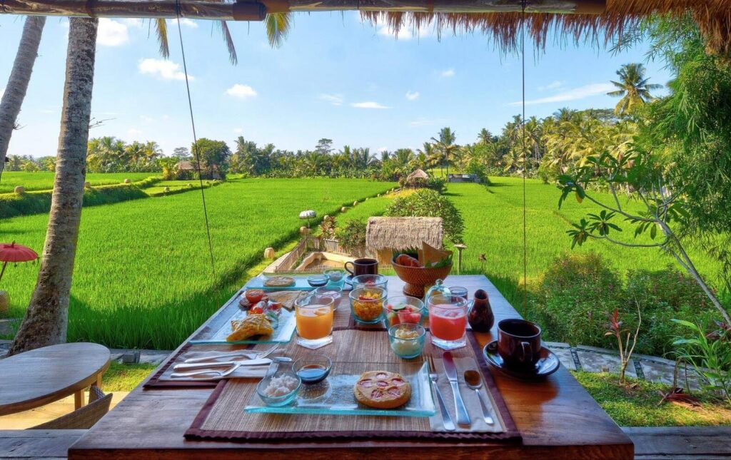 Tranquil Brunch with Green Rice Field Views