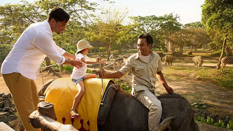 bali safari elephant ride family adventure