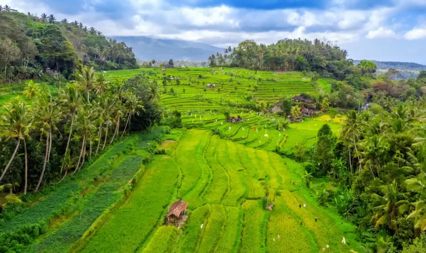 Things to Do in Bali: December 2025 Guide
