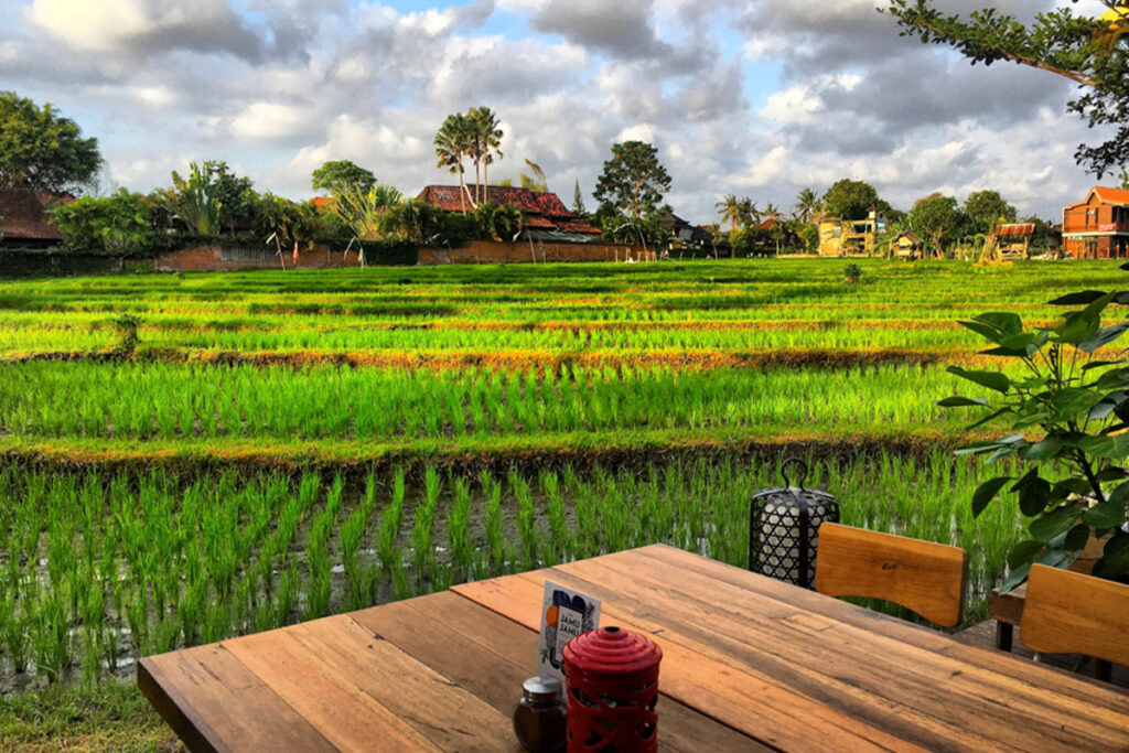 Café overlooking rice fields in Canggu.