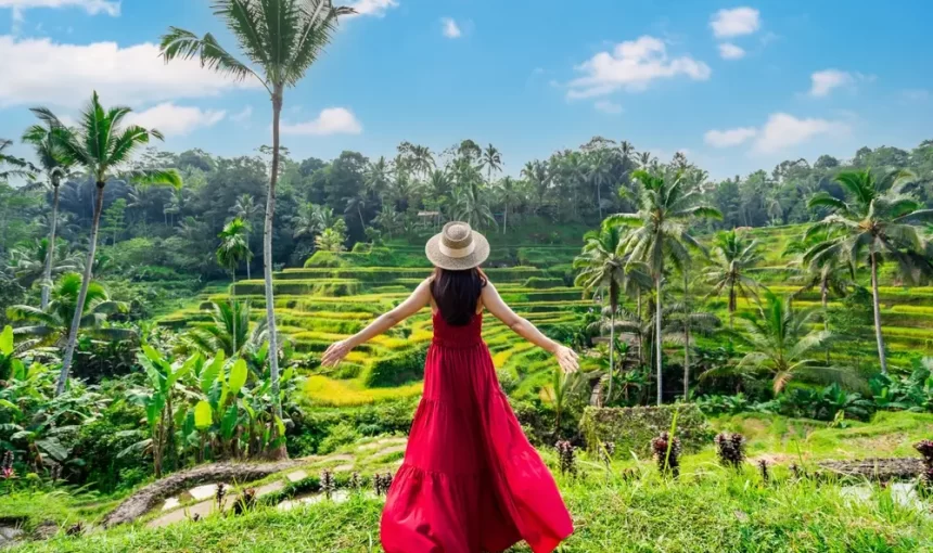 Bali Tour Packages: Top Experiences in January 2026