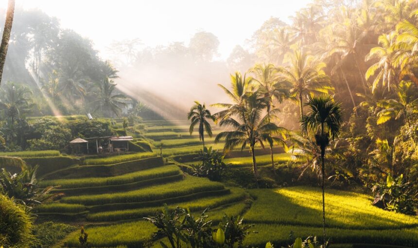 Planning a Bali Trip in February 2026: Smart Travel Tips